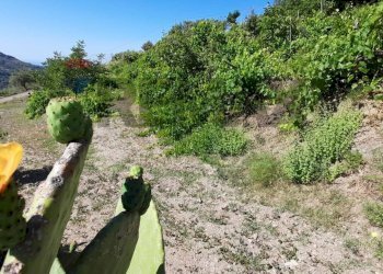 Giardino - Rustico Contrada Barone, Graniti - foto 19