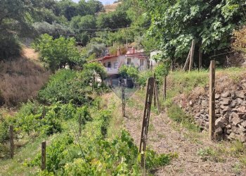 Giardino - Rustic contrada luppinaria
 
sn, Castelmola - photo 15