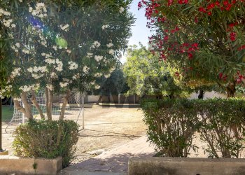 Giardino - Appartamento Viale Teracati
 
87, Siracusa - foto 4