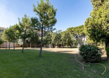 Giardino - Appartamento Viale Teracati
 
87, Siracusa - foto 10