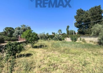 Giardino - Villa Traversa san francesco
 
95, Siracusa - foto 15