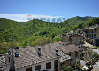 Vista delle montagne - Casa semi indipendente Giaveno - foto 38