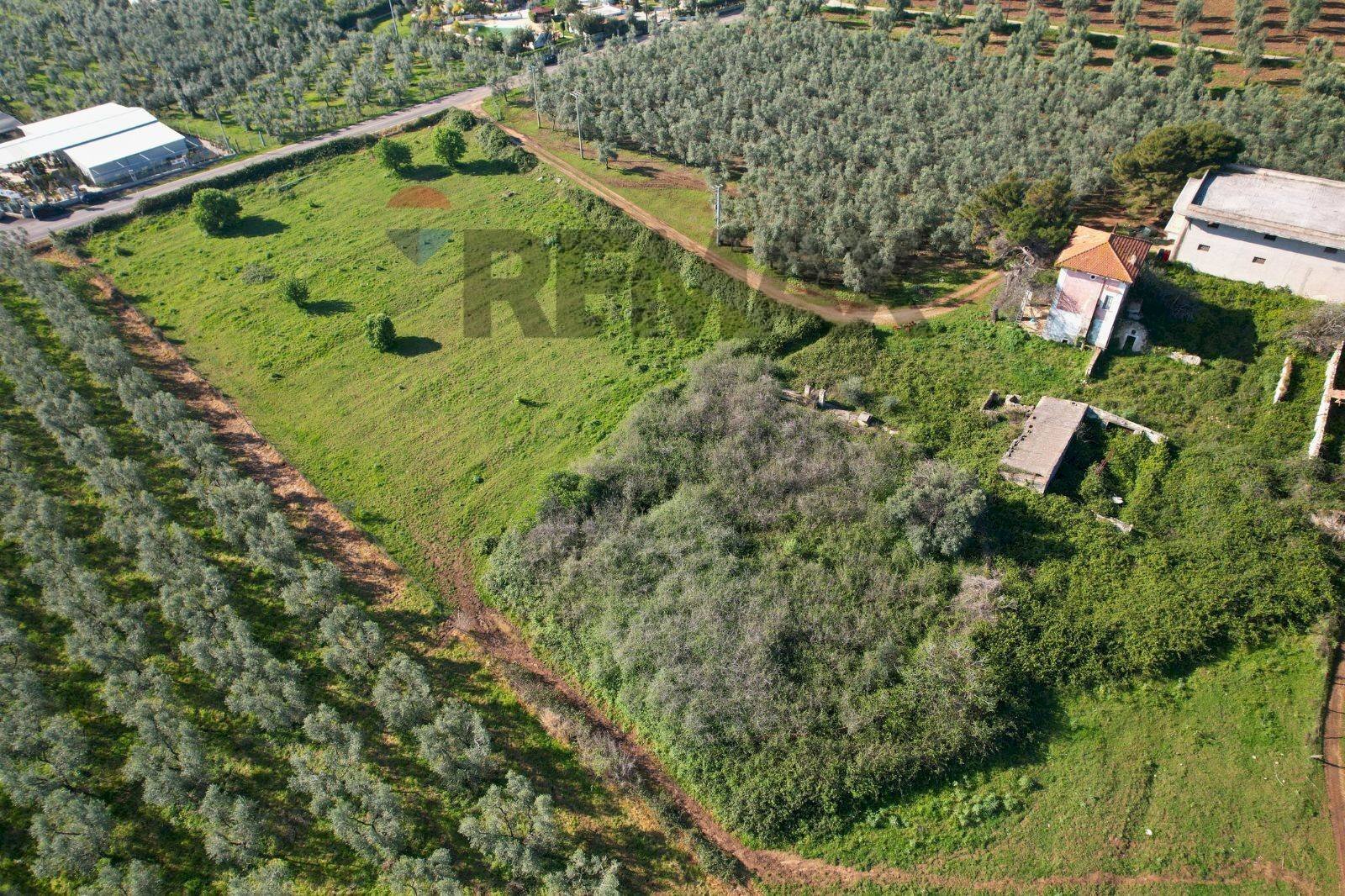 Posizione della mappa - Terreno edificabile Loc.  Piano Grande, Vieste - foto 1