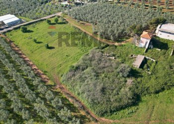 Posizione della mappa - Terreno edificabile Loc. Piano Grande, Vieste - foto 1