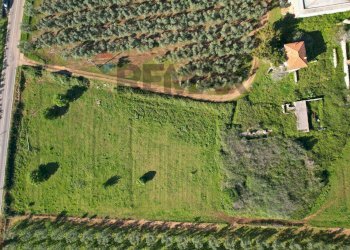 Posizione della mappa - Terreno edificabile Loc. Piano Grande, Vieste - foto 9