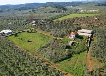 Vista delle montagne - Terreno edificabile Loc. Piano Grande, Vieste - foto 10