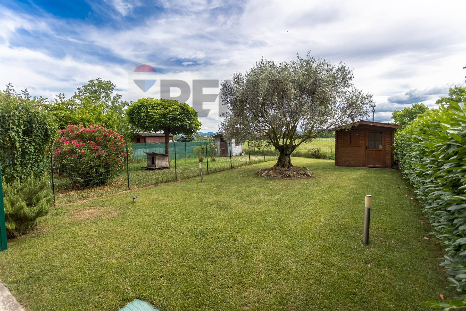 Giardino - Villa a Schiera Via Benigno Zaccagnini
166, Fidenza - foto 3