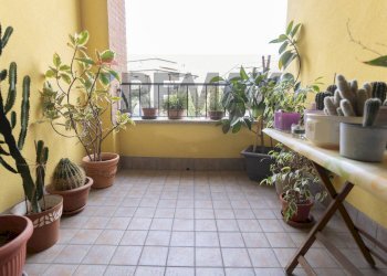 Terrazza - Villa a Schiera Via Benigno Zaccagnini
 
166, Fidenza - foto 21