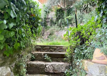 Giardino - Appartamento Borgo a Mozzano - foto 45