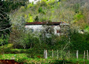 Giardino - Casa semi indipendente LOCALITA' CERRETO
 
78, Bagni di Lucca - foto 4