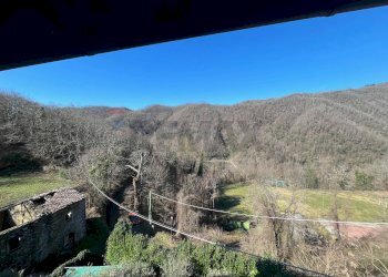 Vista delle montagne - Casa semi indipendente Coreglia Antelminelli - foto 13