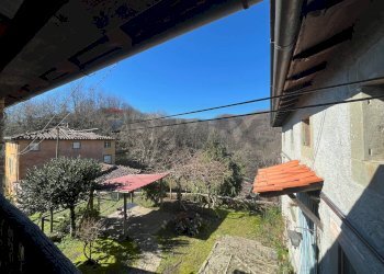 Vista delle montagne - Casa semi indipendente Coreglia Antelminelli - foto 34