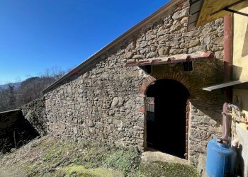 Casa all\'aperto - Casa semi indipendente Coreglia Antelminelli - foto 42
