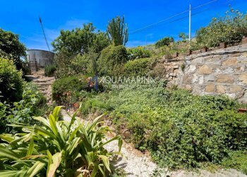 Foto 49 - Villa Santo Stefano al Mare - foto 49