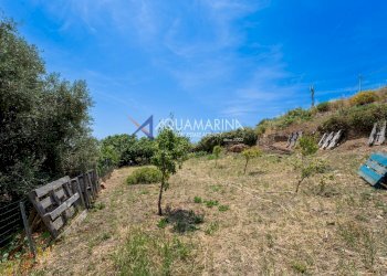 Foto 50 - Villa Santo Stefano al Mare - foto 50