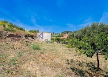 Foto 51 - Villa Santo Stefano al Mare - foto 51