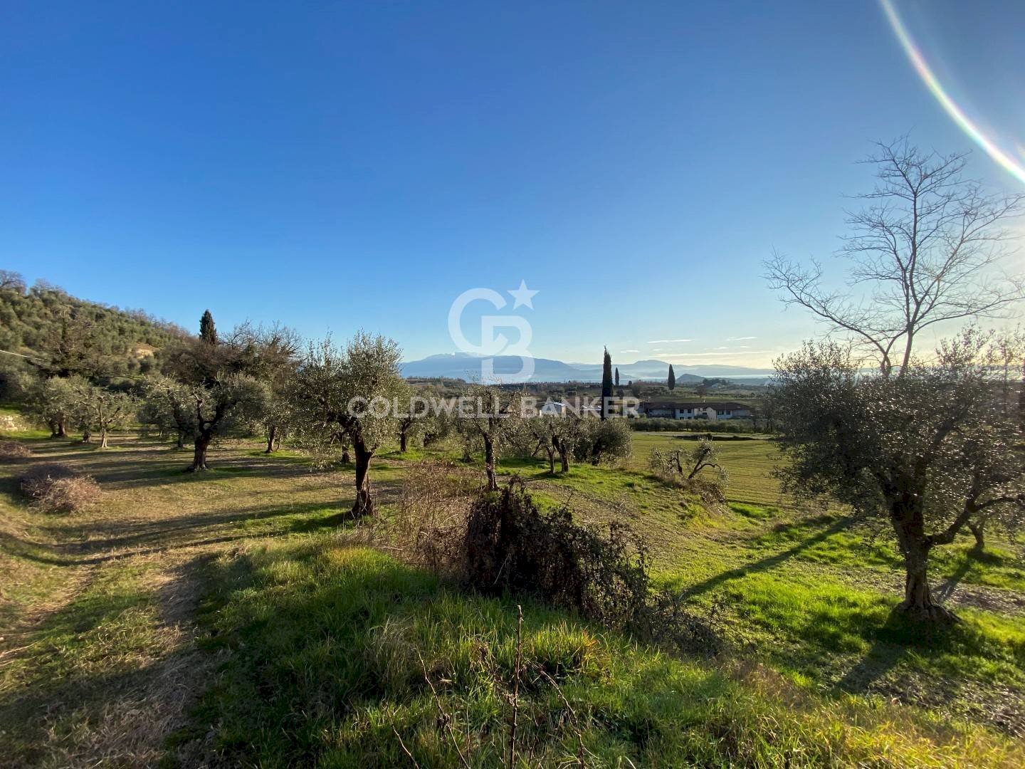 Foto 1 - Terreno agricolo Polpenazze del Garda - foto 1