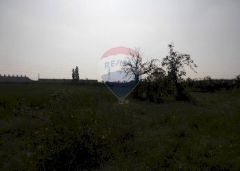 Terreno - Rustico Baganzola, Parma - foto 14