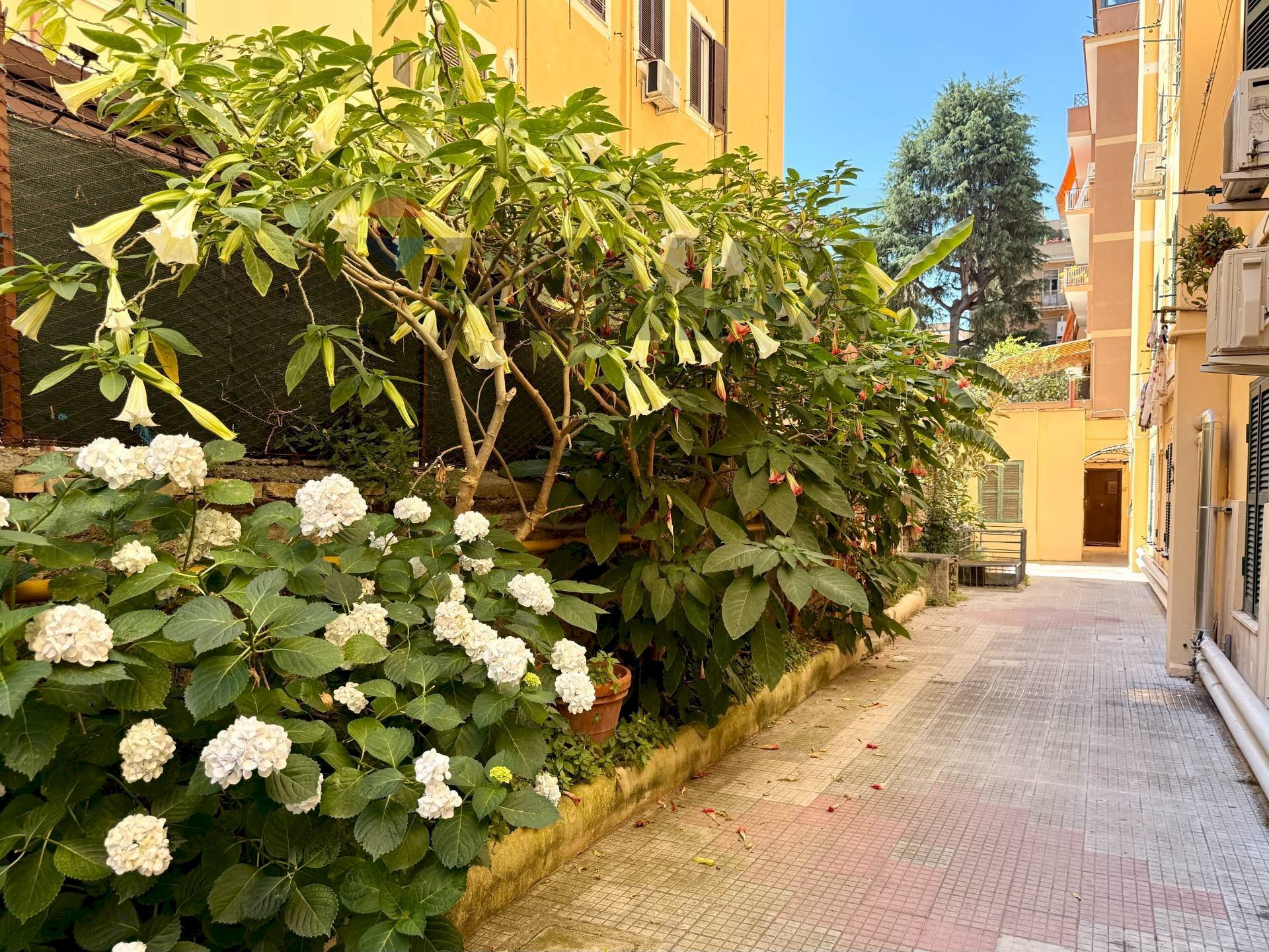 Giardino - Trilocale Roma - foto 3