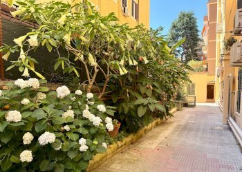 Giardino - Trilocale Roma - foto 3