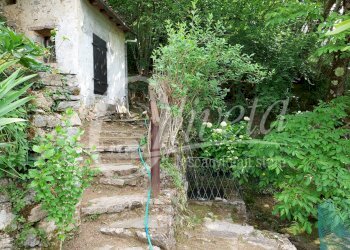 Foto 44 - Rustic Via Vergemoli per Calomini
 
3, Fabbriche di Vergemoli - photo 44