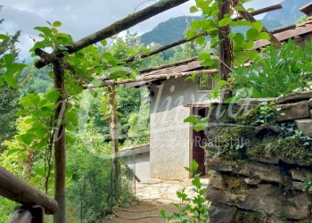 Foto 46 - Rustic Via Vergemoli per Calomini
 
3, Fabbriche di Vergemoli - photo 46