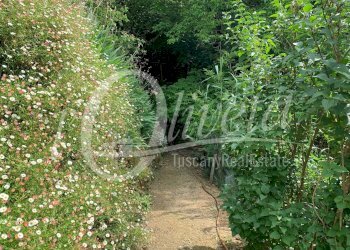 Foto 50 - Rustic Via Vergemoli per Calomini
 
3, Fabbriche di Vergemoli - photo 50