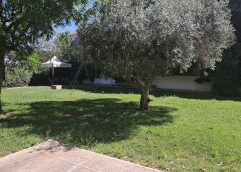 Giardino - Four-room apartment Via San Basile
 
58, Roma - photo 43
