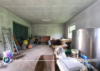 Foto 52 - Apartment Via Gazzo, Erli - photo 52