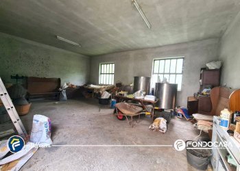 Foto 53 - Apartment Via Gazzo, Erli - photo 53