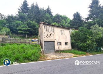 Foto 1 - Magazzino Via Piemonte
snc, Erli - foto 1