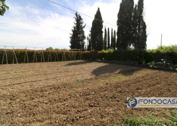 Foto 6 - Independent house Via Pesco, Santa Maria a Monte - photo 6