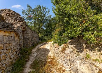 Giardino - Baita Via monte del sale, Alberobello - photo 14