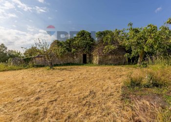 Giardino - Baita Via monte del sale, Alberobello - photo 29