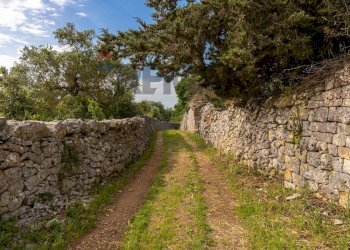 Giardino - Baita Via monte del sale, Alberobello - photo 39