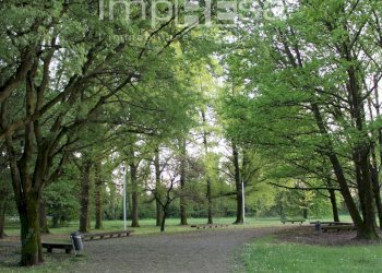 Foto 17 - Villa Preganziol - photo 17