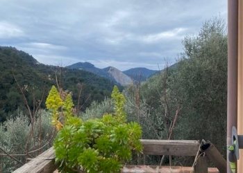 Foto 4 - Casa indipendente farzione Verrandi
 
snc, Ventimiglia - foto 4