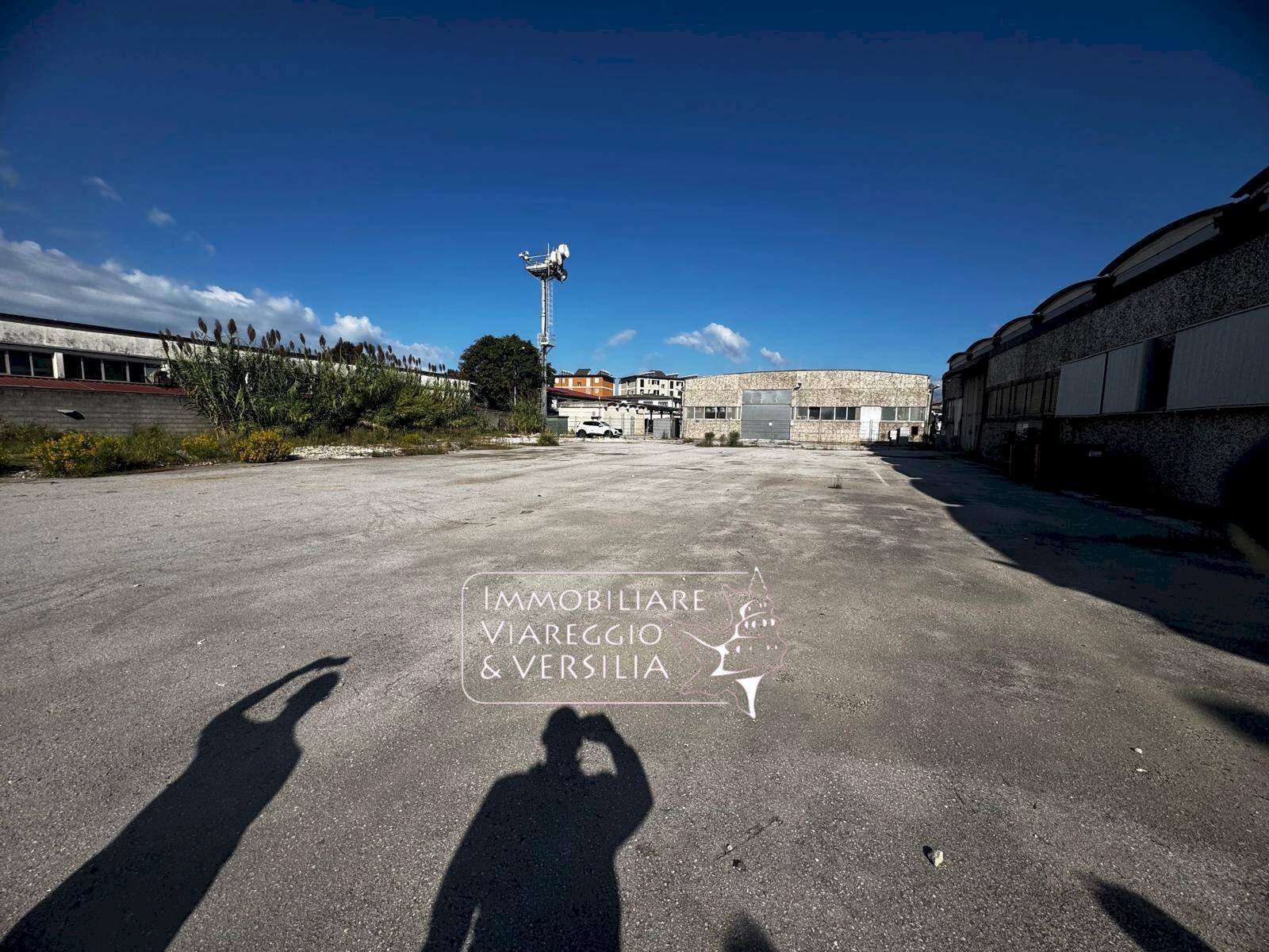 Foto 3 - Magazzino Viareggio - foto 3