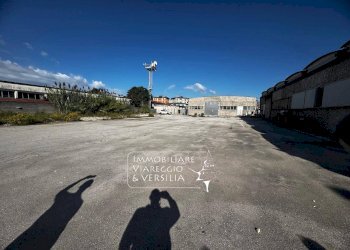 Foto 3 - Magazzino Viareggio - foto 3