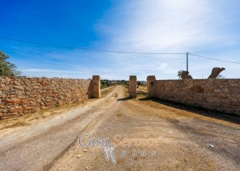 Terreno - Villa via Provinciale Tuglie, Parabita - photo 17