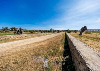 Terreno - Villa via Provinciale Tuglie, Parabita - photo 19