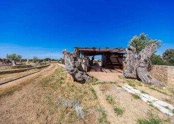 Terreno - Villa via Provinciale Tuglie, Parabita - photo 21