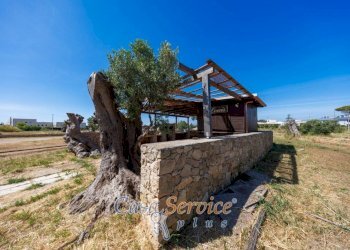 Terreno - Villa via Provinciale Tuglie, Parabita - photo 34