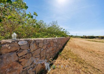Terreno - Villa via Provinciale Tuglie, Parabita - photo 36