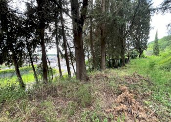 Foto 44 - Rustic Via Colsereno, Massarosa - photo 44