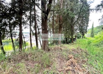 Foto 45 - Rustic Via Colsereno, Massarosa - photo 45