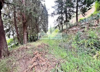Foto 46 - Rustic Via Colsereno, Massarosa - photo 46