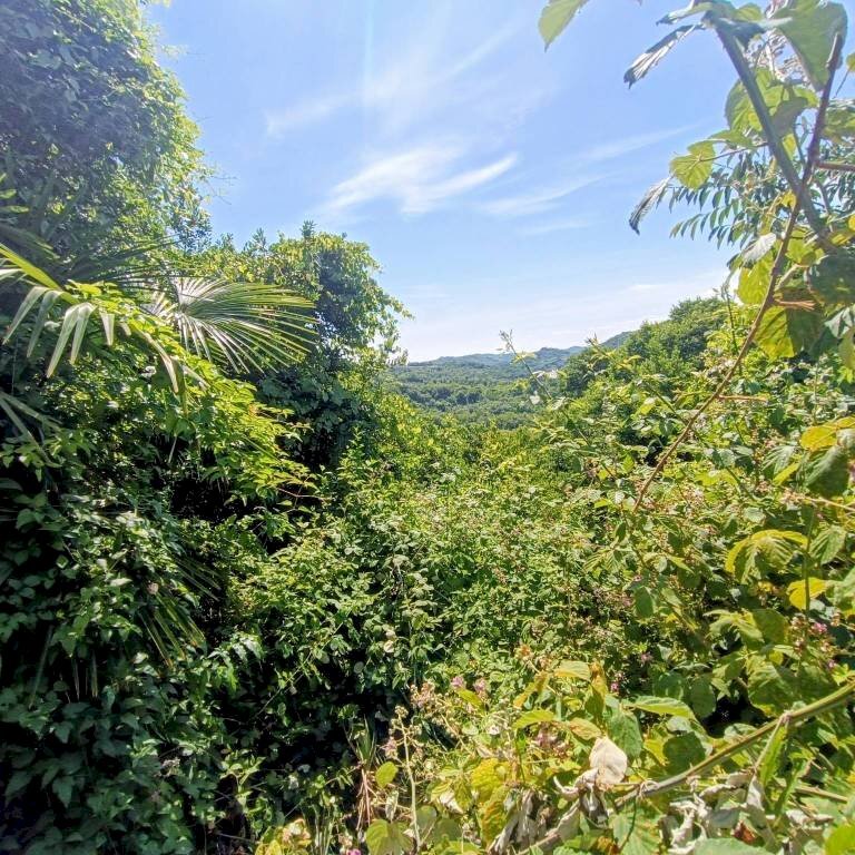 Terreno - Rustico via Vittorio Veneto, Gabiano - foto 3