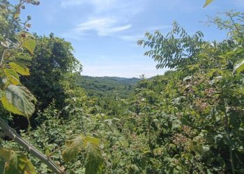 Vista - Rustico via Vittorio Veneto, Gabiano - foto 12