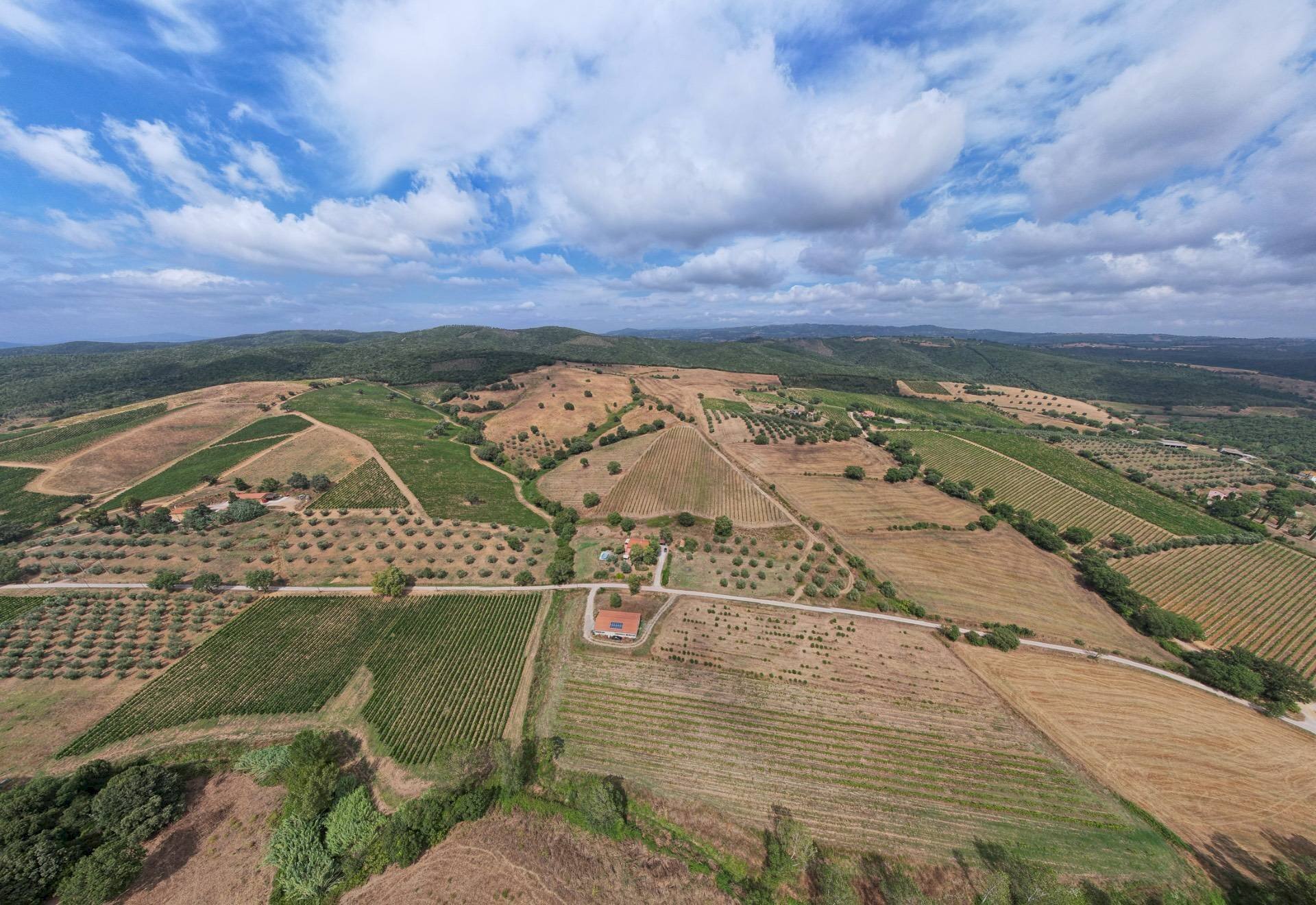 Foto 2 - Casa indipendente Le Lupinaie
snc, Magliano in Toscana - foto 2
